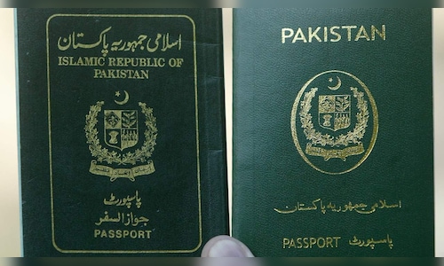 UAE Suspends Visas for Pakistani Nationals, Interior Official Says