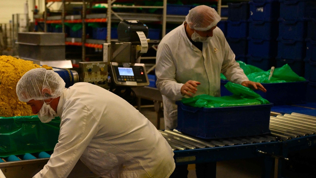 Why carbon monoxide makes people faint