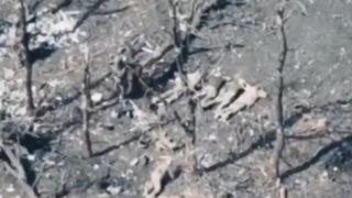 Viral Video Shows Russian Drone Operators Cheering Executions