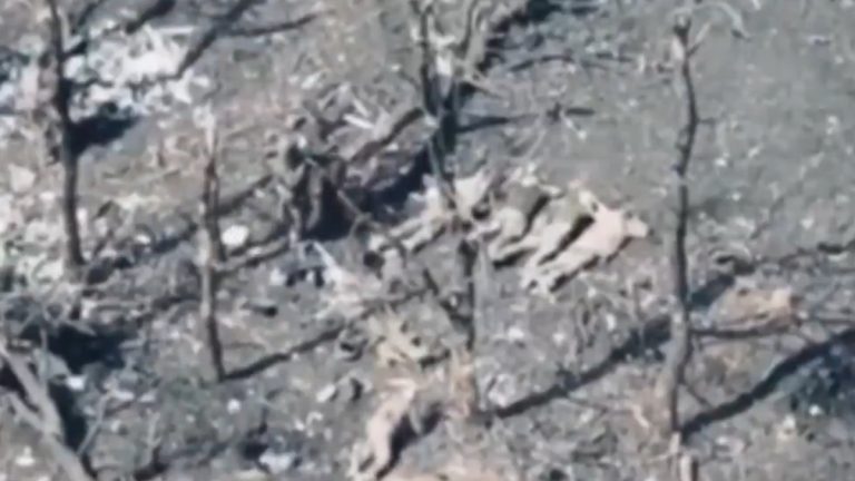 Viral Video Shows Russian Drone Operators Cheering Executions