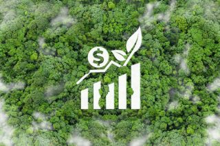 The Green Swap: Recalibrating Sovereign Finance for Climate and Development Symbiosis