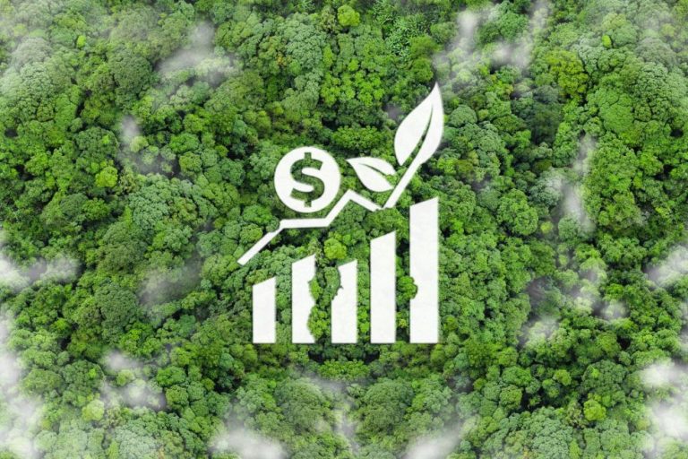 The Green Swap: Recalibrating Sovereign Finance for Climate and Development Symbiosis